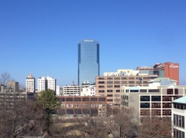 view from CALS